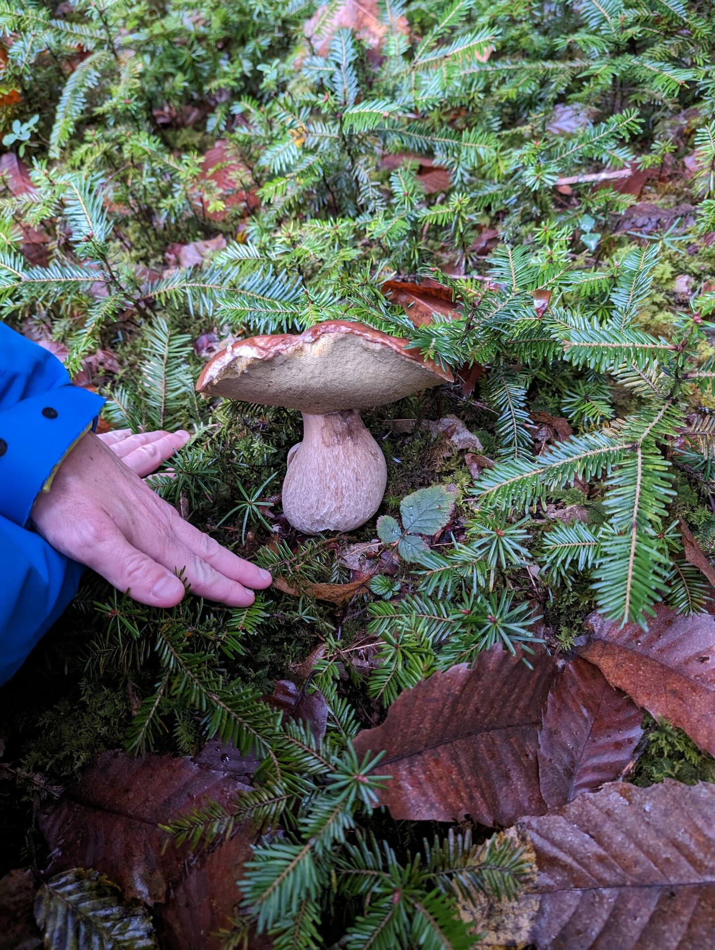 Détail supplémentaire