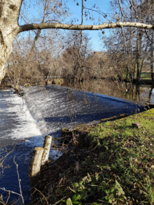 image_2025-10-17_145219672