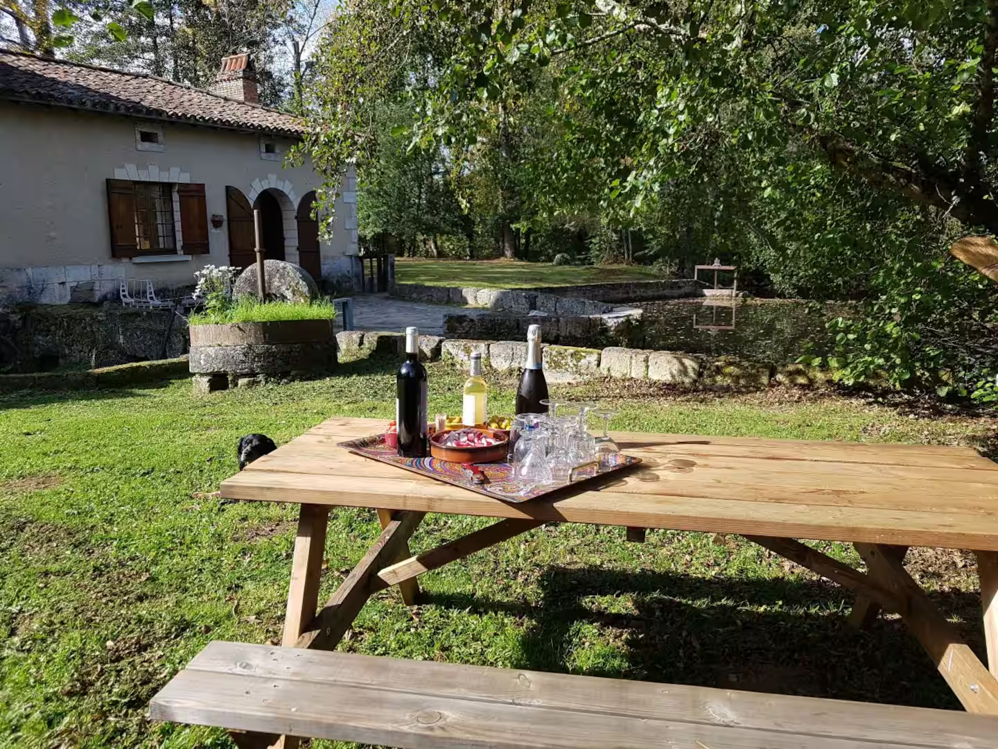 Jardin – tables, BBQ, plancha