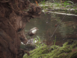 image_2025-10-17_150434258