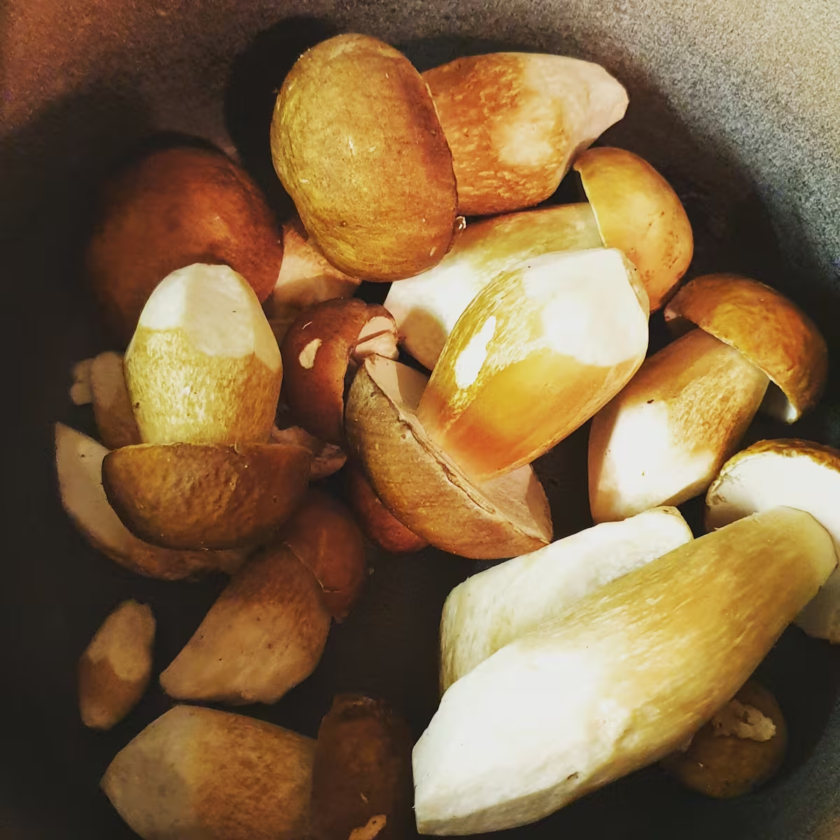 Forêt à proximité du moulin